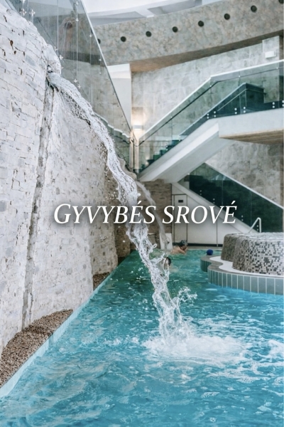 GYVYBĖS SROVĖ